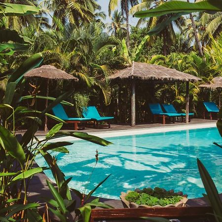 Devarya Wellness Beach Resort Morjim Ngoại thất bức ảnh
