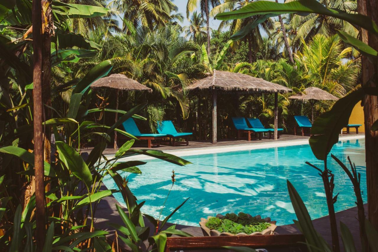Devarya Wellness Beach Resort Morjim Ngoại thất bức ảnh