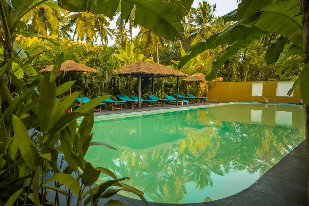 Devarya Wellness Beach Resort Morjim Ngoại thất bức ảnh